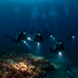 Curso de Buceo Nocturno